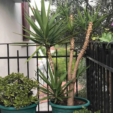 アパート Lily *
